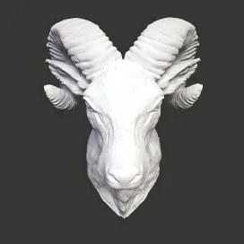 Plaster head ram
